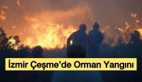 İzmir Çeşme’de Yangın