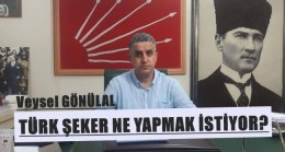 TÜRK ŞEKER NE YAPMAK İSTİYOR?