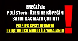 Ereğli’de Uyuşturucuya Geçit Yok