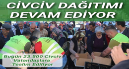 Civciv Dağıtımı Devam Ediyor