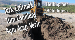 Terk Edilmek Tüm Canlılara Aynı Acıyı Verir”