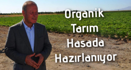 Organik Tarım Hasada Hazırlanıyor