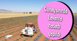 Güneysınır’da lavanta hasadı yapıldı