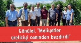 Gönülal, “Maliyetler üreticiyi canından bezdirdi”