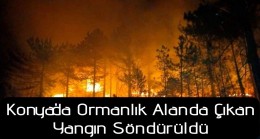 Ormanlık alanda çıkan yangın söndürüldü