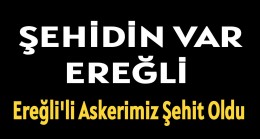 ŞEHİDİN VAR EREĞLİ