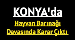 Konya’da Hayvan Barınağı Davasında Karar Çıktı