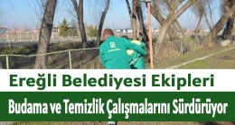 Budama ve Temizlik Çalışmaları Sürüyor