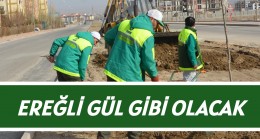 Ereğli Gül Gibi Olacak