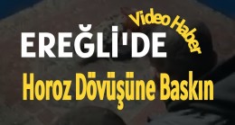 HAYVAN KORUMA DERNEĞİ’NDE HOROZ DÖVÜŞÜ’NE POLİS BASKINI!