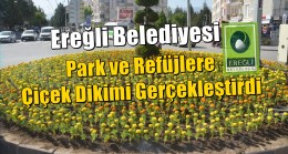 Ereğli Belediyesi Park ve Refüjlere Çiçek Dikimi Gerçekleştirdi