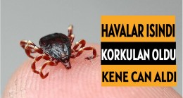 Havalar ısındı korkulan oldu: Kene can aldı