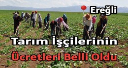 TARIM İŞÇİLERİNİN ÜCRETLERİ BELLİ OLDU