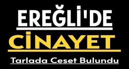 Ereğli’de Cinayet Tarlada Ceset Bulundu