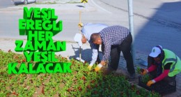 Ereğli’de Çiçekler Açıyor