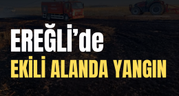 Ereğli’de Ekili Alanda Yangın