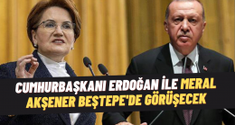 Erdoğan ile Akşener Beştepe’de görüşecek