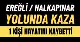 Ereğli / Halkapınar Yolunda Kaza