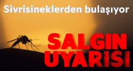 Sivrisineklerden bulaşıyor