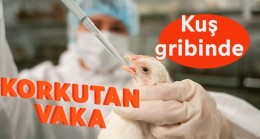 Kuş gribinde korkutan vaka