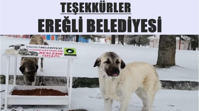 Teşekkürler Ereğli Belediyesi