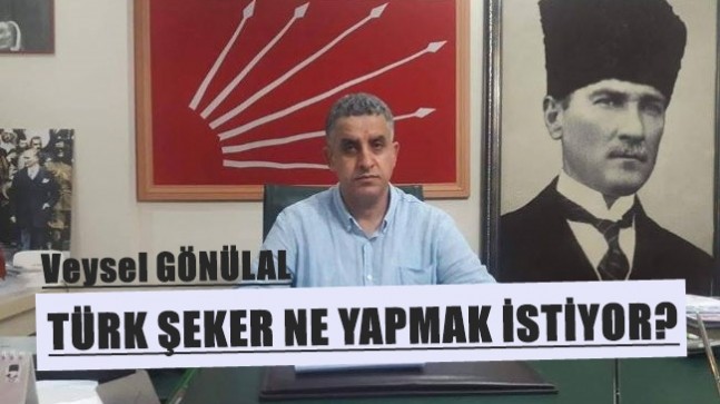 TÜRK ŞEKER NE YAPMAK İSTİYOR?