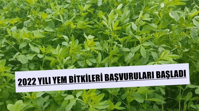 2022 YILI YEM BİTKİLERİ BAŞVURULARI BAŞLADI