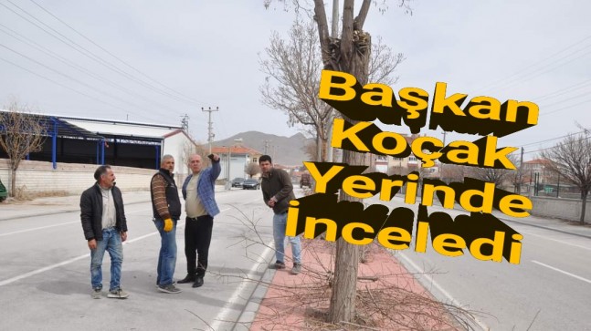 Başkan Koçak Çalışmaları Yerinde İnceledi