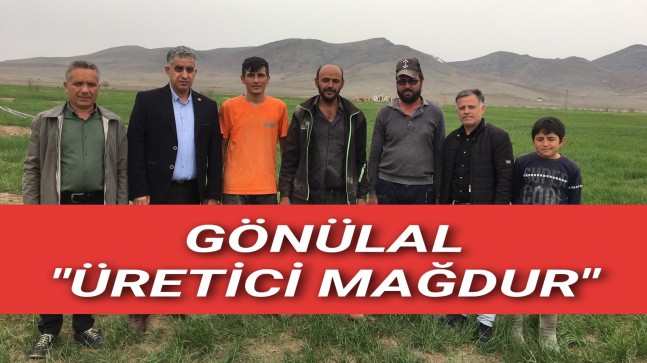 Gönülal, “Üretici mağdur”