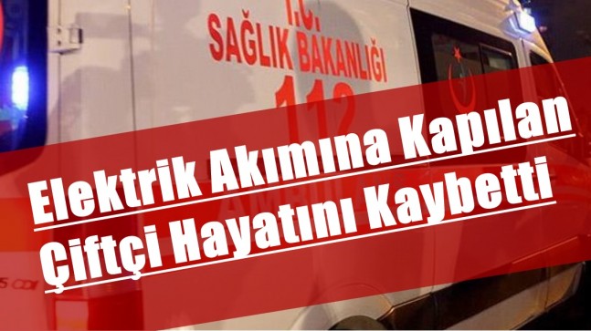 Elektrik akımına kapılan çiftçi hayatını kaybetti