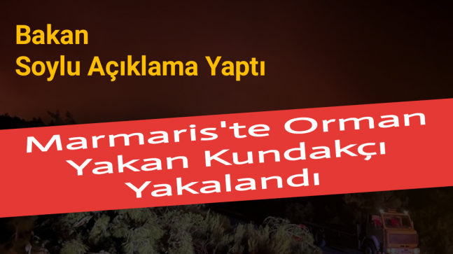 Marmaris’te Orman Yakan Kundakçı Yakalandı