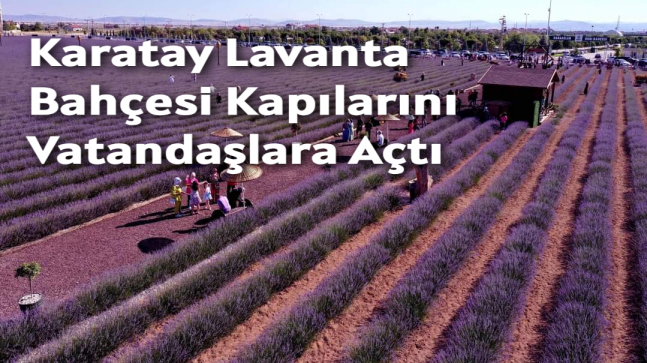 Karatay Lavanta Bahçesi Kapılarını Vatandaşlara Açtı