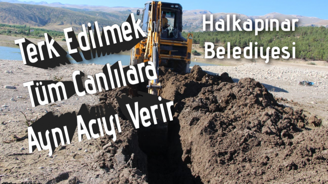 Terk Edilmek Tüm Canlılara Aynı Acıyı Verir”