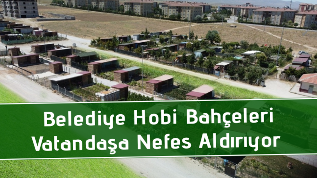 Belediye Hobi Bahçeleri Vatandaşa Nefes Aldırıyor