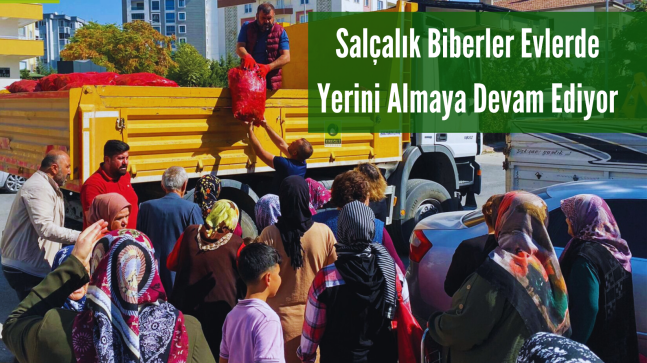 Salçalık Biberler Evlerde Yerini Almaya Devam Ediyor