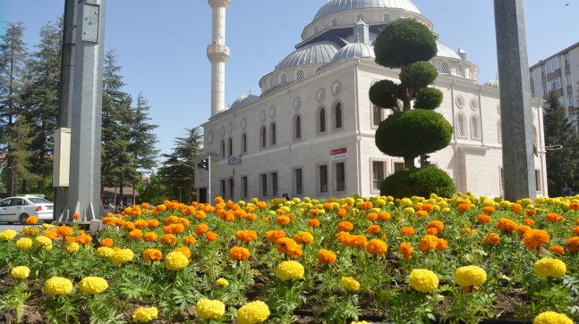 Ereğli Belediyesi Çiçeklerle Şehri Güzelleştiriyor