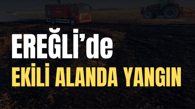 Ereğli’de Ekili Alanda Yangın