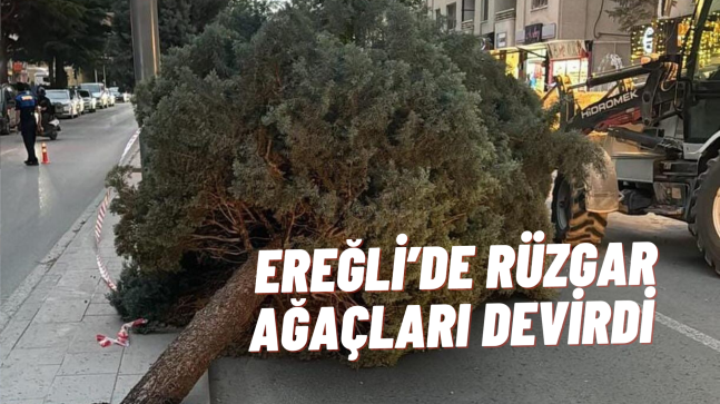 Ereğli’de Rüzgar Ağaçları Devirdi