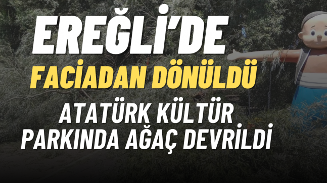 Atatürk Kültür Parkında Ağaç Devrildi