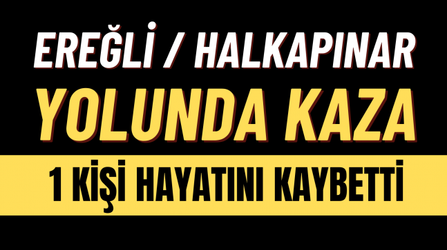 Ereğli / Halkapınar Yolunda Kaza