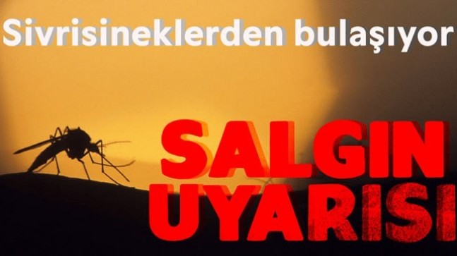 Sivrisineklerden bulaşıyor