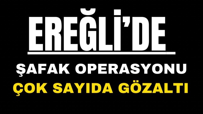 Ereğli’de Operasyon Çok Sayıda Gözaltı