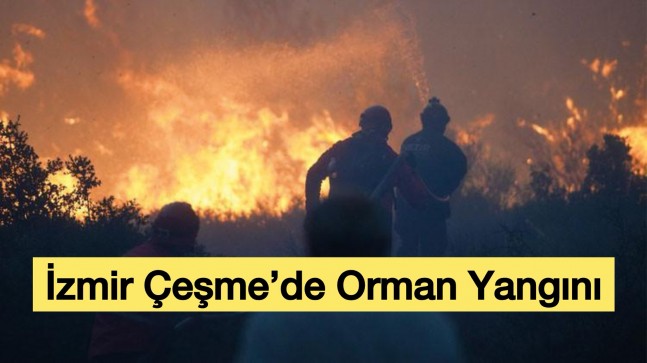 İzmir Çeşme’de Yangın
