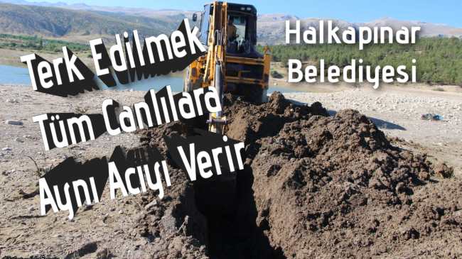 Terk Edilmek Tüm Canlılara Aynı Acıyı Verir”