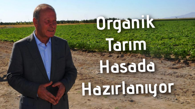 Organik Tarım Hasada Hazırlanıyor