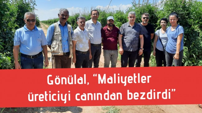 Gönülal, “Maliyetler üreticiyi canından bezdirdi”