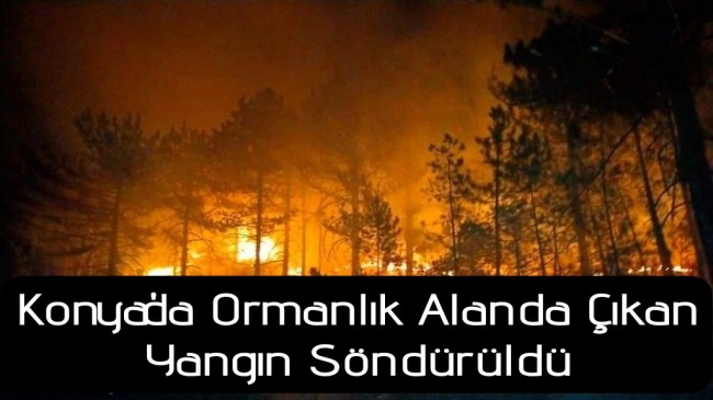 Ormanlık alanda çıkan yangın söndürüldü