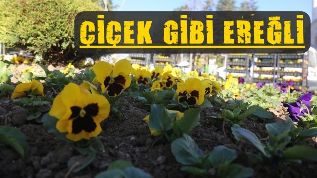 Çiçek Gibi Ereğli