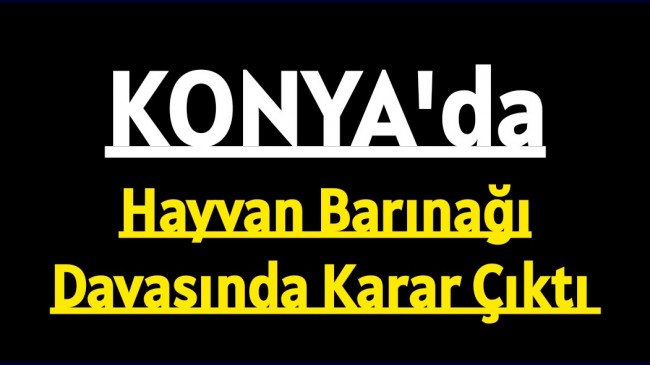 Konya’da Hayvan Barınağı Davasında Karar Çıktı