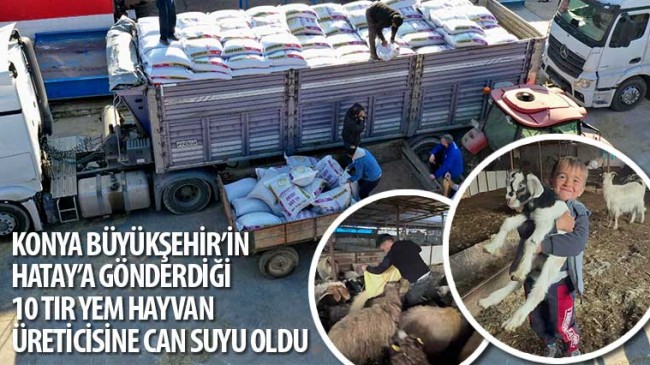 Konya Büyükşehir’in Hatay’a Gönderdiği 10 Tır Yem Hayvan Üreticisine Can Suyu Oldu